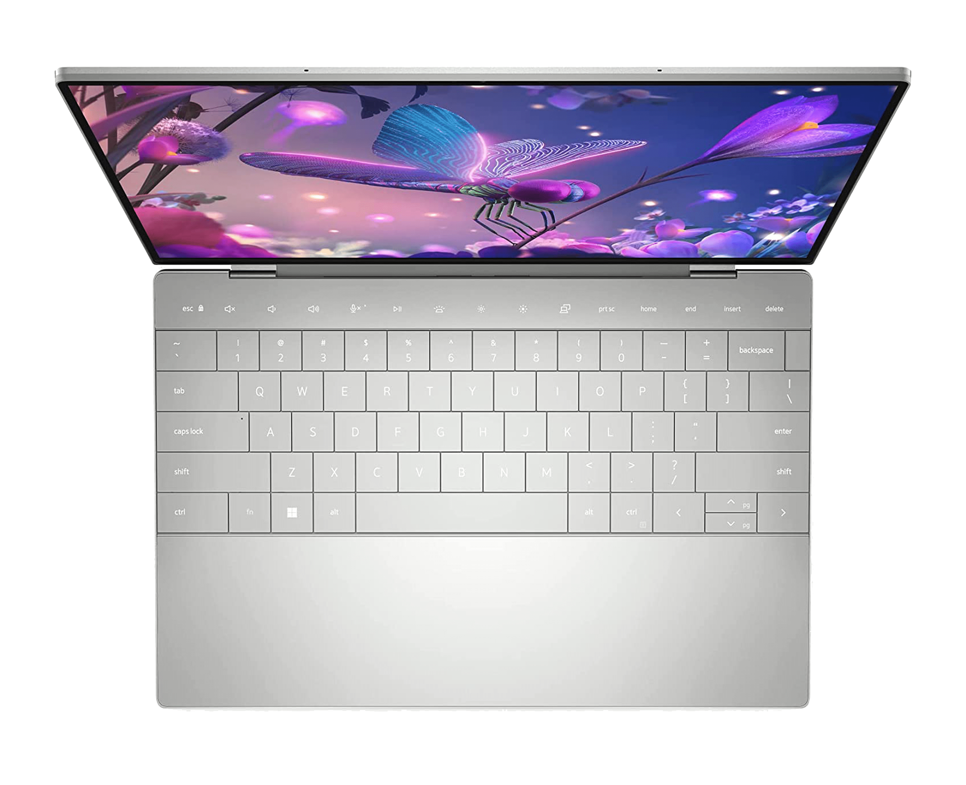 Laptop Ultrabook Dell XPS 13 9320 Plus 13.4" FHD+ i7-1260P 12-Cores 16GB Ram 1TB SSD Windows 11 Pro | ALIENSTORE