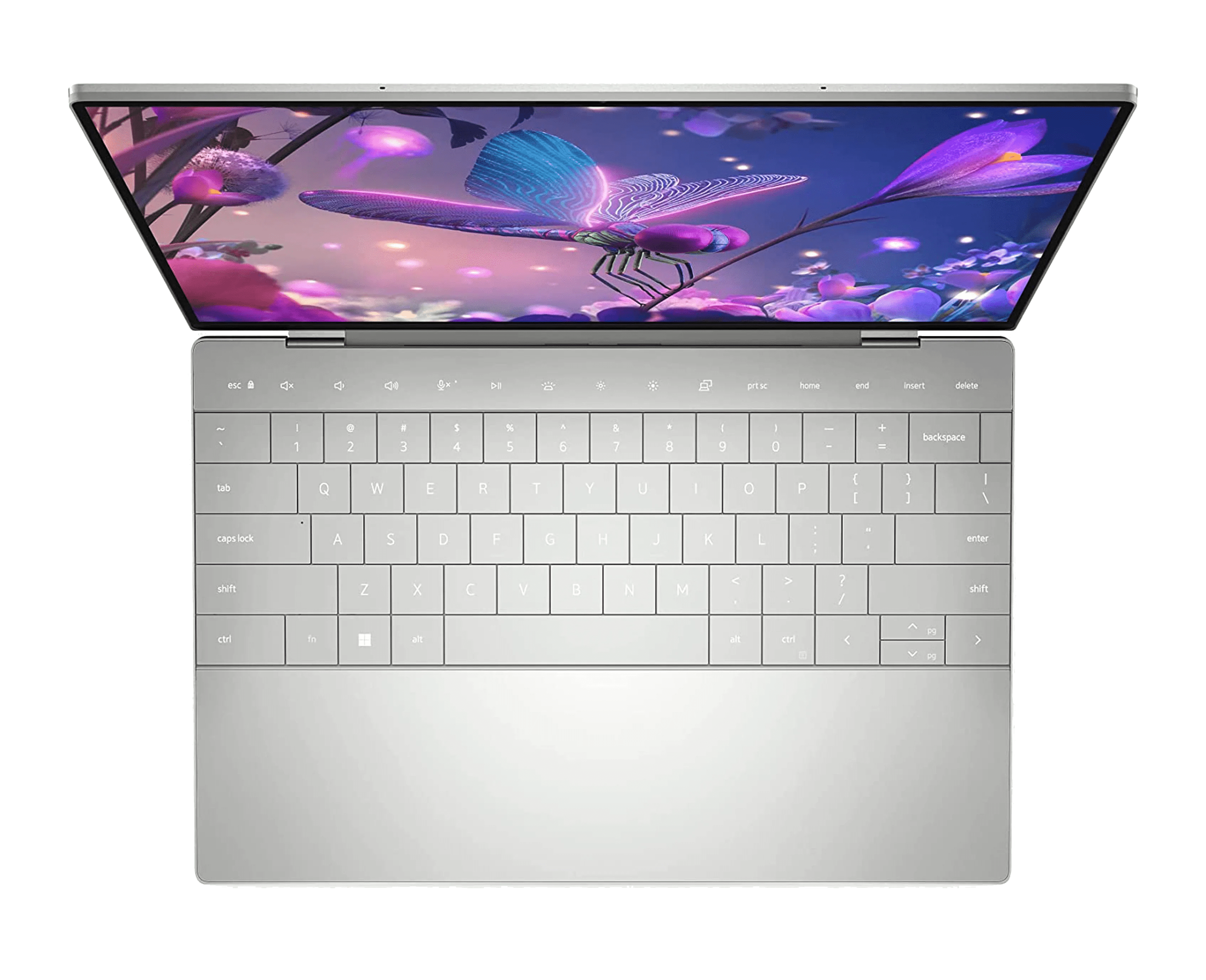 Laptop Ultrabook Dell XPS 13 9320 Plus 13.4" 4K UHD+ Touch i7-1260P 12-Cores 32GB Ram 1TB SSD Win11 | ALIENSTORE